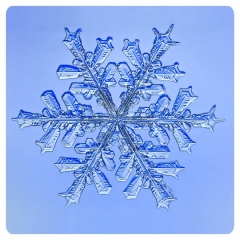 IMG_8653edited2_SquareSignaturesmall.jpg