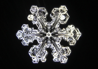 6IMG_9448_edited_ORIGINALSIZE.jpg