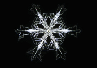IMG_9611edited.jpg