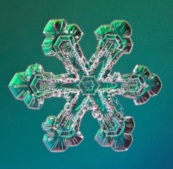 IMG_1842_sign_small.jpg