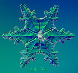 025__11_.jpg