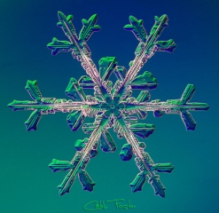 025__12_.jpg