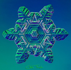025__13_.jpg