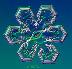 025__15_.jpg