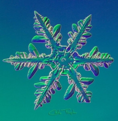 025__18_.jpg