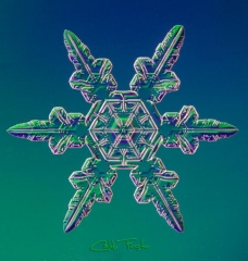 025__20_.jpg