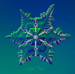 025__22_.jpg