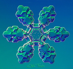 025__26_.jpg