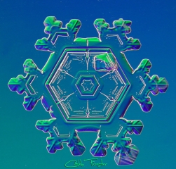 025__28_.jpg