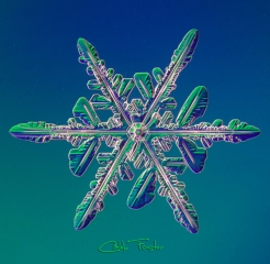 025__29_.jpg