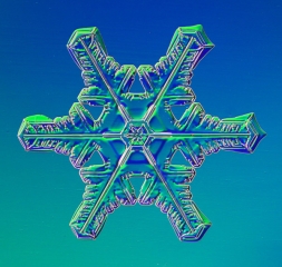 025__2_.jpg