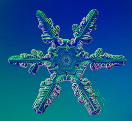 025__3_.jpg