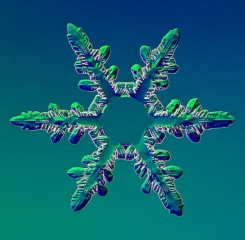 025__7_.jpg