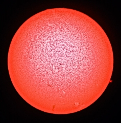 IMG_6794edited2croppedsmall2.jpg