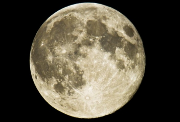 DSC_2621editedsmall.jpg