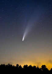 DSC_6228editedcroppedsmall2.jpg