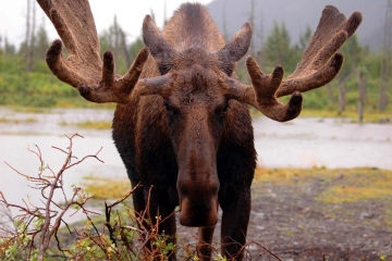1__210_.jpg