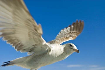 1__309_.jpg