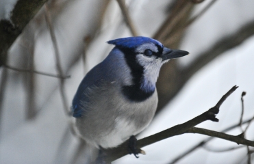 DSC_1388editedsmall.jpg