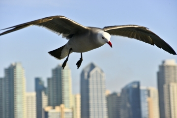 DSC_3627editedsmall.jpg