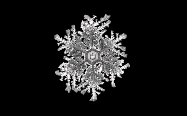 CalebFoster_Snowflake_in_Jericho_Vermont__10_small.jpg