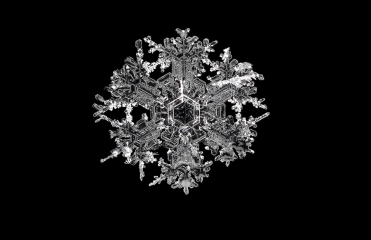 CalebFoster_Snowflake_in_Jericho_Vermont__11_small.jpg