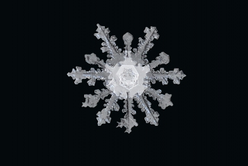 CalebFoster_Snowflake_in_Jericho_Vermont__16_small.jpg