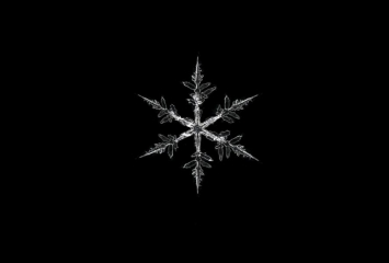 CalebFoster_Snowflake_in_Jericho_Vermont__3_.jpg