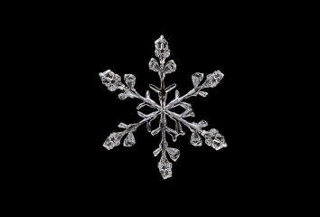 CalebFoster_Snowflake_in_Jericho_Vermont__4_small.jpg