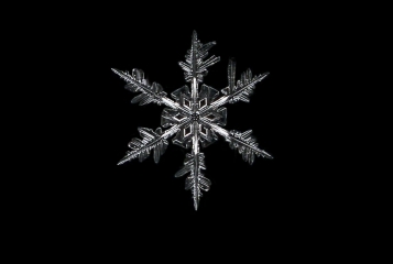 CalebFoster_Snowflake_in_Jericho_Vermont__5_small.jpg