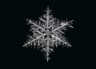 CalebFoster_Snowflake_in_Jericho_Vermont__6__small.jpg
