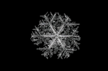 CalebFoster_Snowflake_in_Jericho_Vermont__7_small.jpg