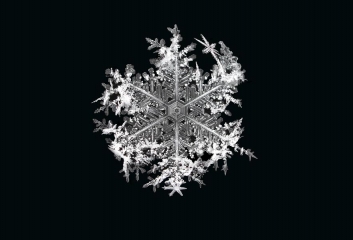 CalebFoster_Snowflake_in_Jericho_Vermont__9_small.jpg