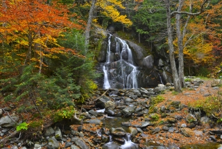 DSC_8958smallwebsite.jpg
